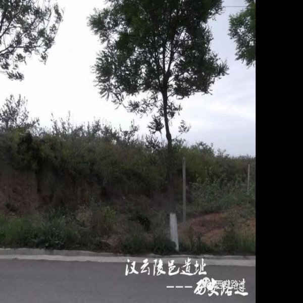 汉云陵 - 图片8