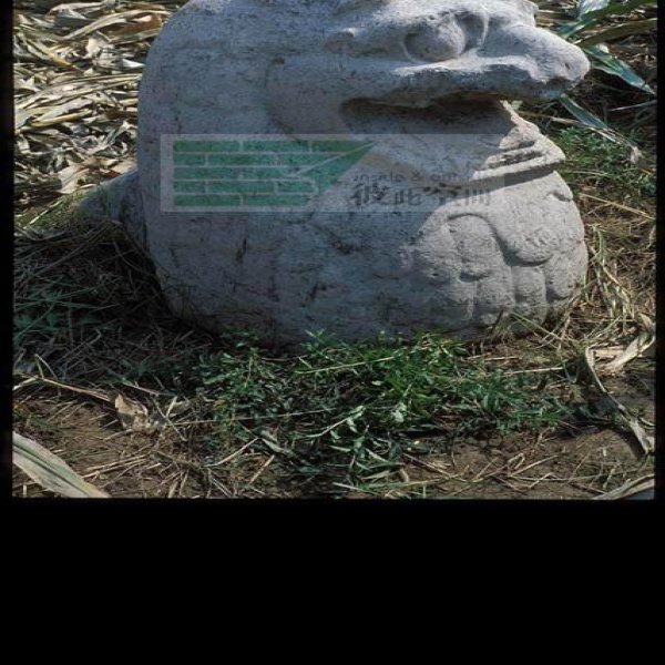 兴宁陵 - 图片8