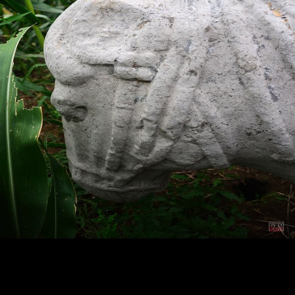 兴宁陵 - 图片9