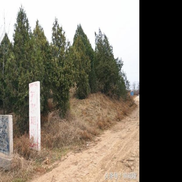 永康陵 - 图片3