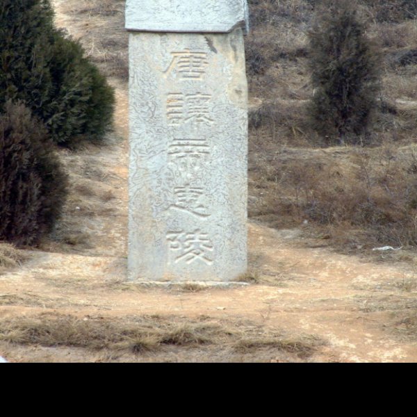 唐惠陵 - 图片1