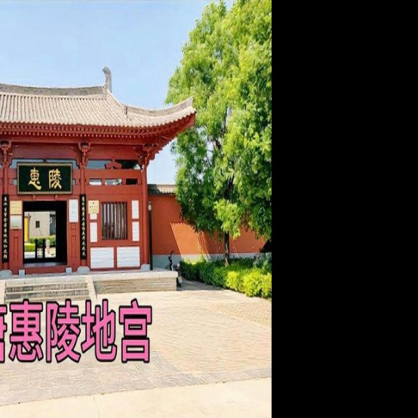 唐惠陵 - 图片3