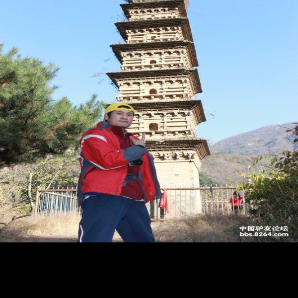 敬德塔 - 图片6