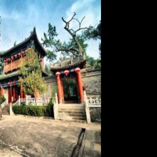金台观 - 图片10