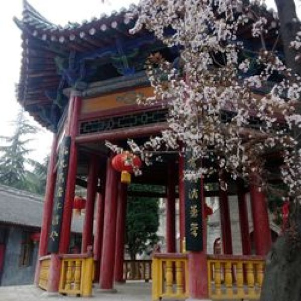 金台观 - 图片9