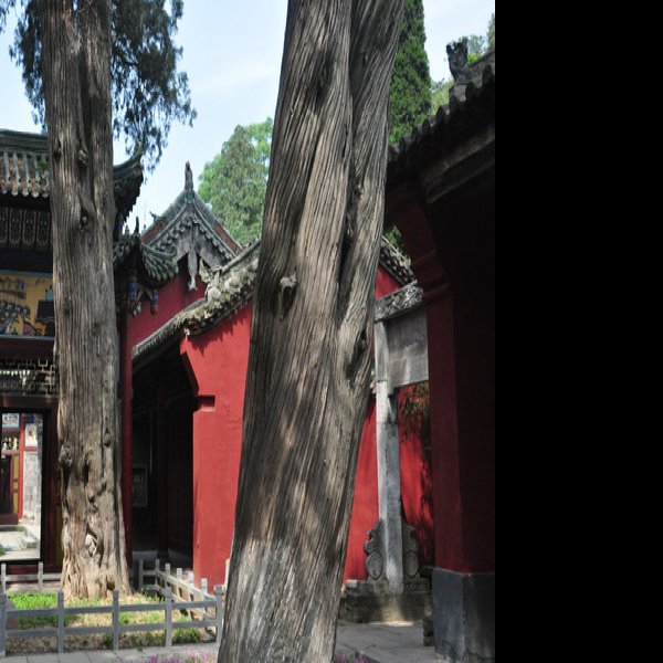 勉县武侯祠 - 图片9