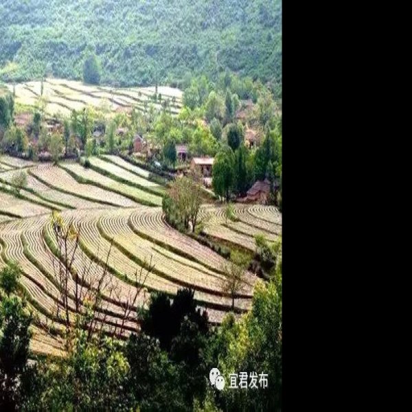 宜君石窟群 - 图片9