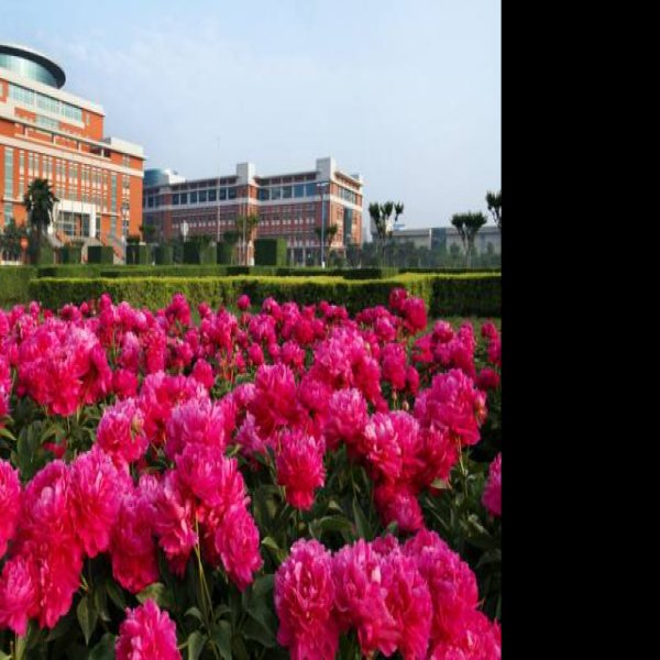 古邰国遗址 - 图片3