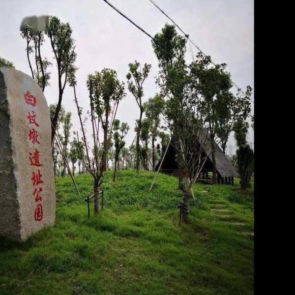 桥镇遗址 - 图片4