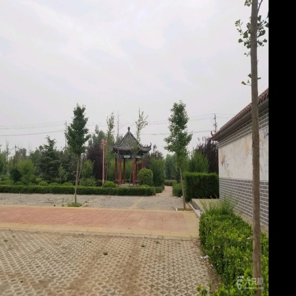 茹家庄遗址 - 图片8