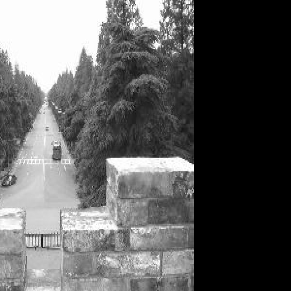成山宫遗址 - 图片10