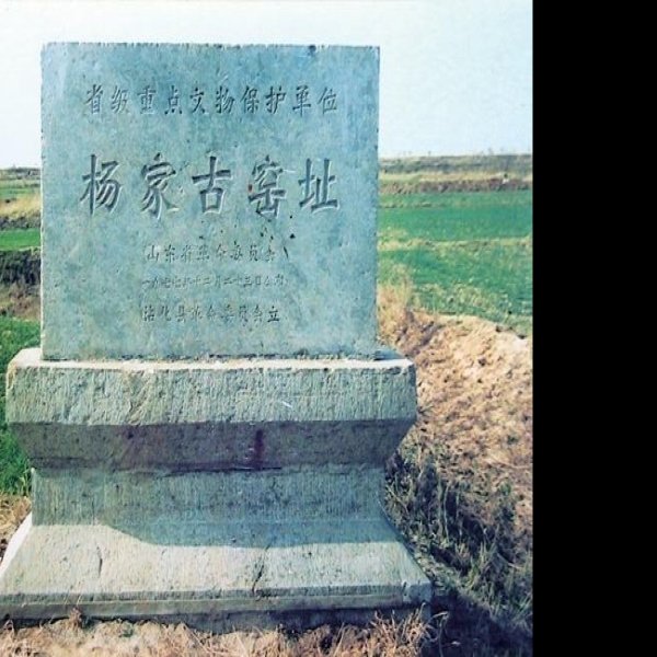 杨家坟山遗址 - 图片10