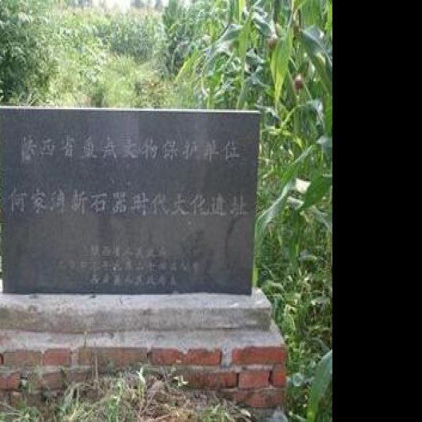 何家湾遗址 - 图片1