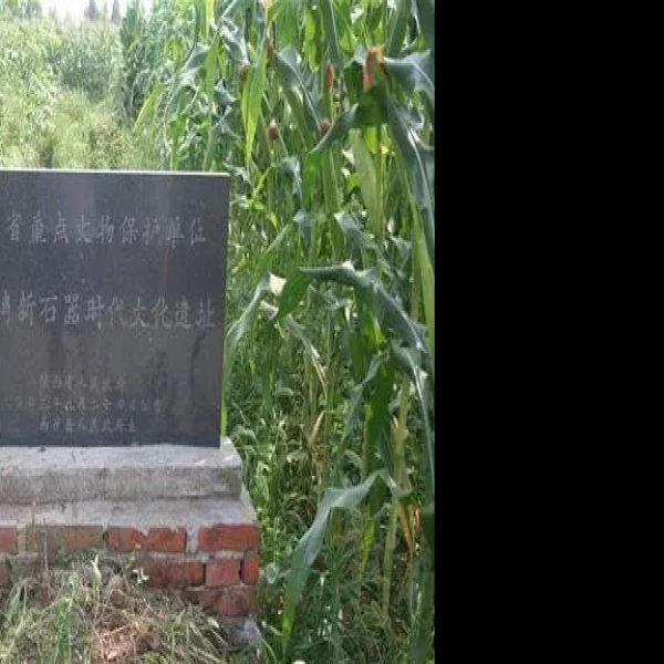 何家湾遗址 - 图片7