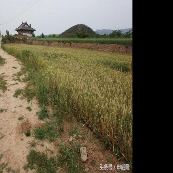 李重俊墓 - 图片1