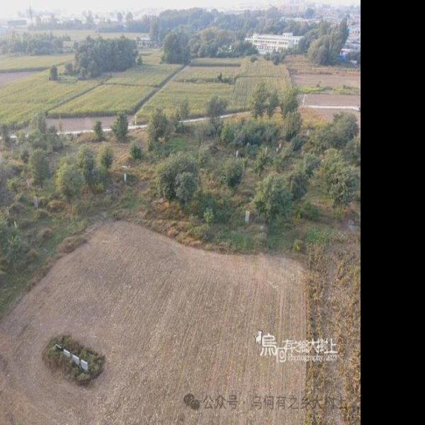 李氏家族墓地 - 图片7