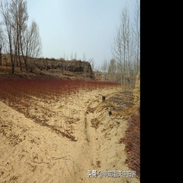 杨桥畔汉代城址与墓地 - 图片2