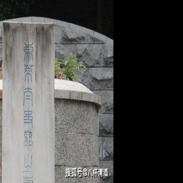杨桥畔汉代城址与墓地 - 图片9