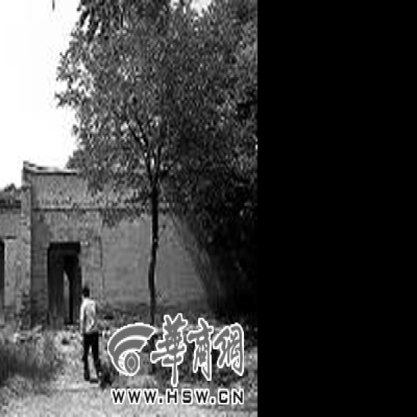 罗山寺塔 - 图片6