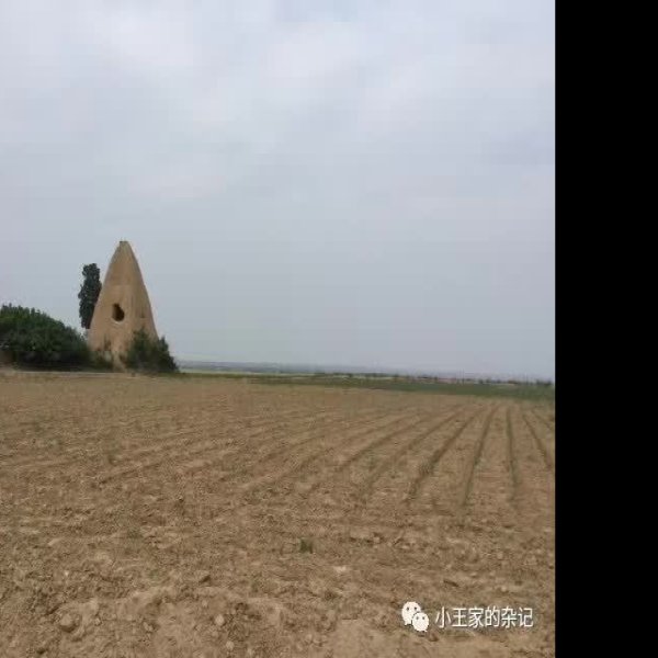 罗山寺塔 - 图片8