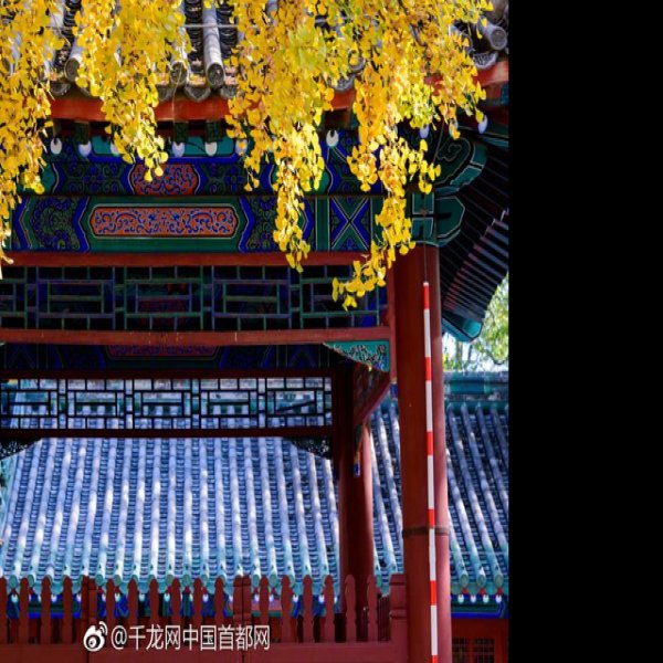 北京国子监 - 图片8