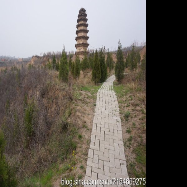 延昌寺塔 - 图片4