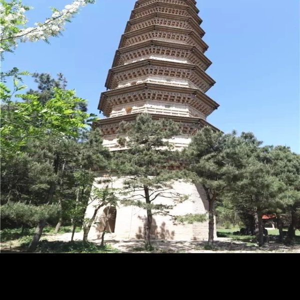 柏山寺塔 - 图片9