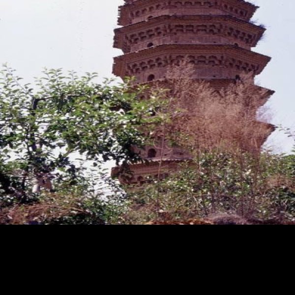 福严院塔 - 图片5