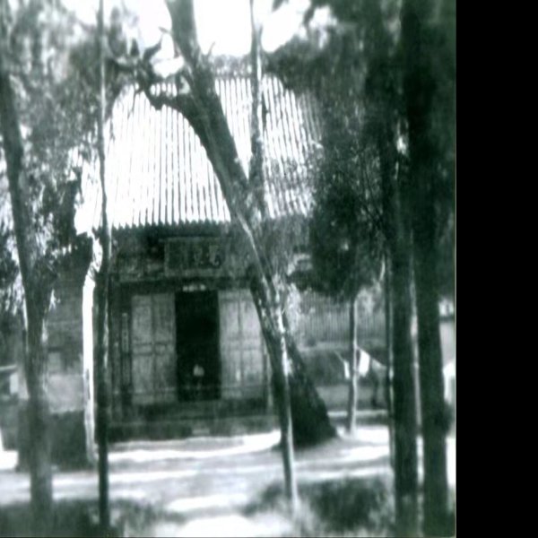 良马寺觉皇殿 - 图片6