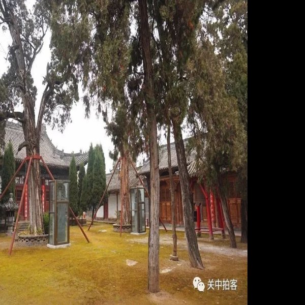 智果寺 - 图片7