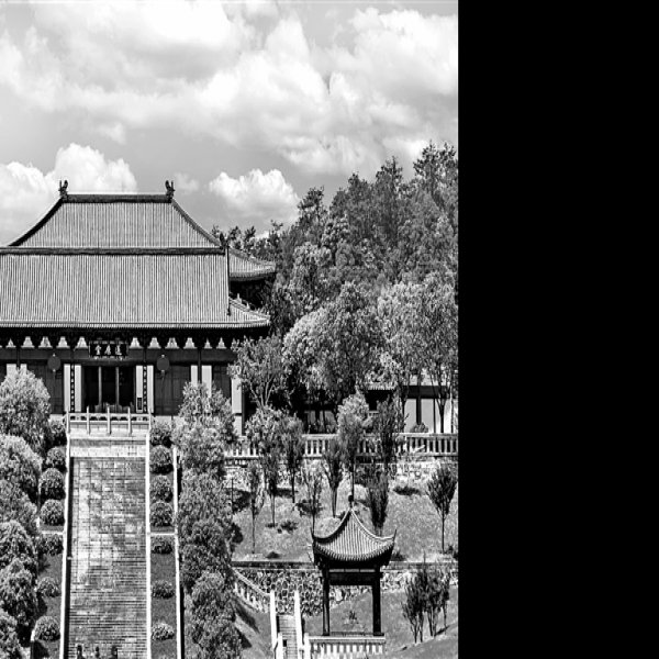 道书院 - 图片8