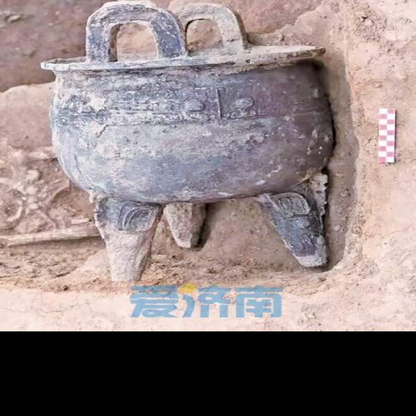 大辛庄遗址 - 图片4