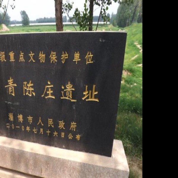 陈庄—唐口遗址 - 图片1
