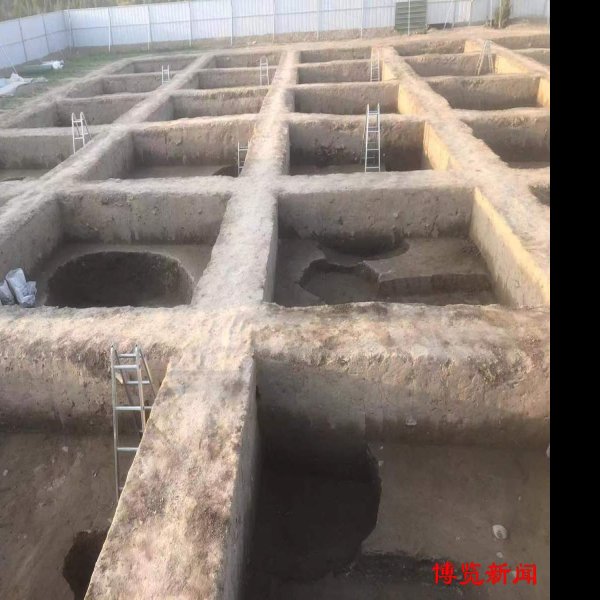 陈庄—唐口遗址 - 图片10
