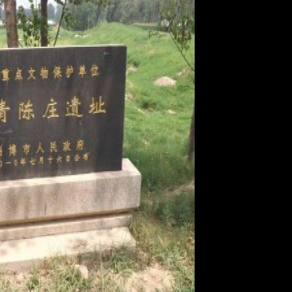 陈庄—唐口遗址 - 图片3