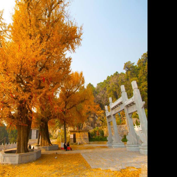 鄫国故城遗址 - 图片3