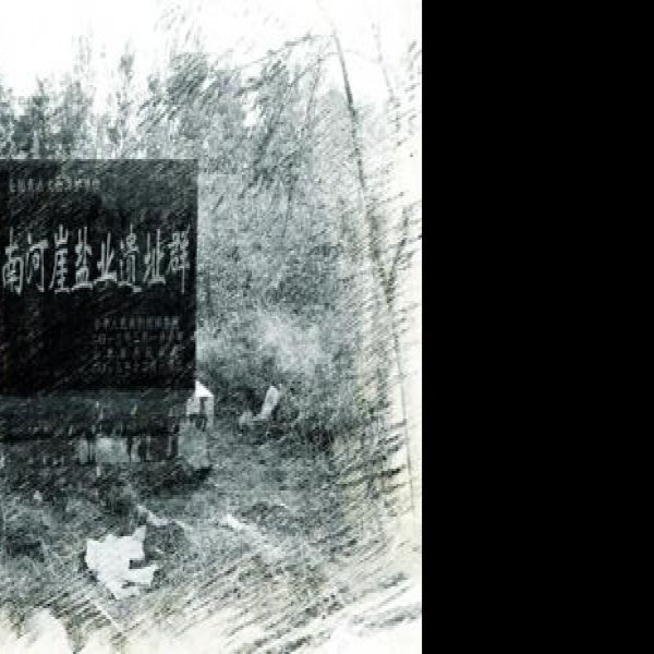 杨家盐业遗址群 - 图片2