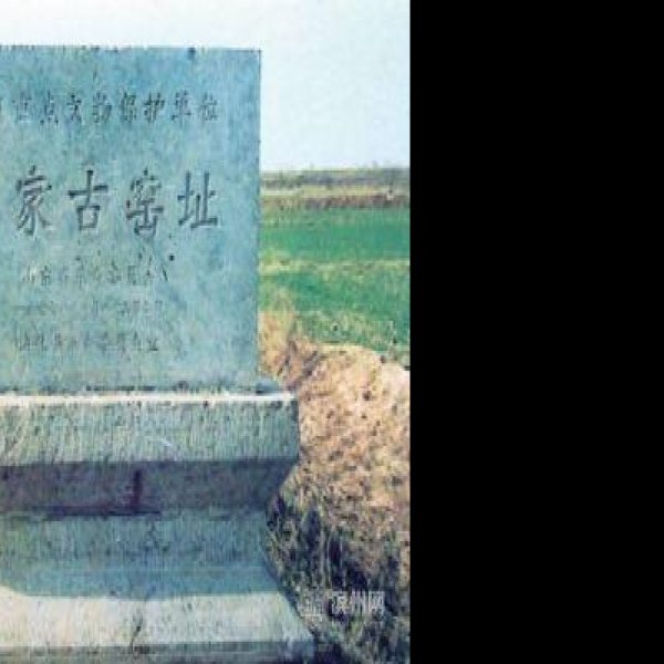 杨家盐业遗址群 - 图片3