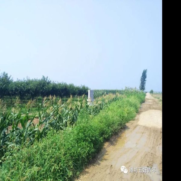 杞国故城遗址 - 图片7