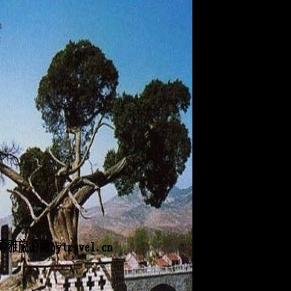 费县故城遗址 - 图片3