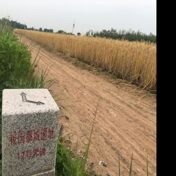 祓国都城遗址 - 图片4