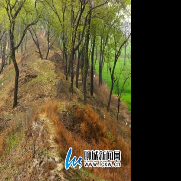 萧城遗址 - 图片8
