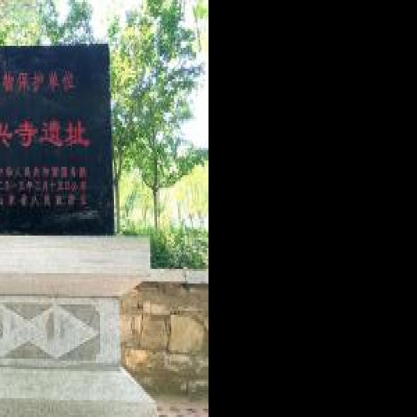 青州龙兴寺遗址 - 图片1