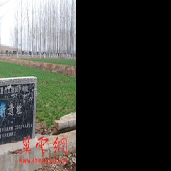 建新遗址 - 图片2