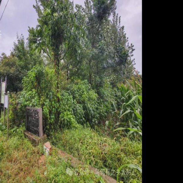 建新遗址 - 图片5
