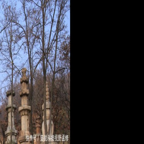 大泽山石刻及智藏寺墓塔林 - 图片4