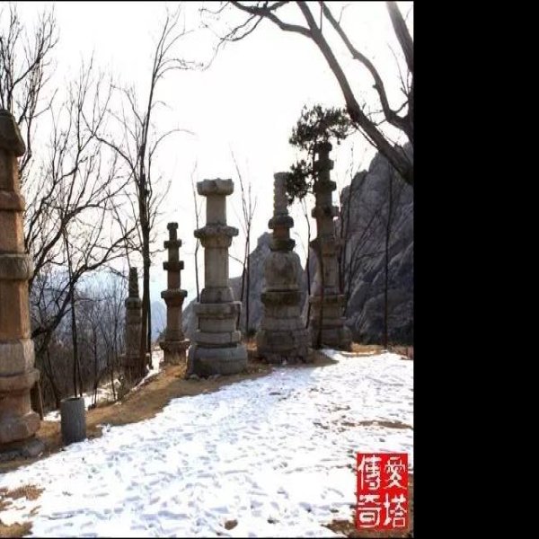 大泽山石刻及智藏寺墓塔林 - 图片7