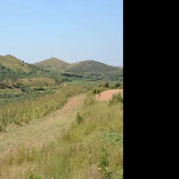 大泽山石刻及智藏寺墓塔林 - 图片9