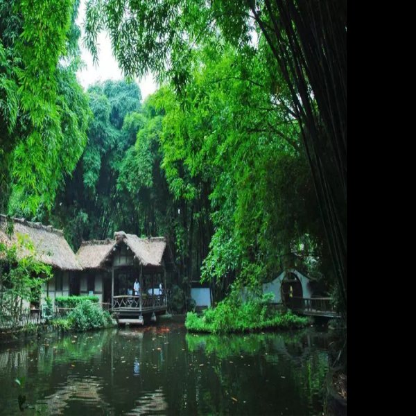 四川成都杜甫草堂 - 图片10
