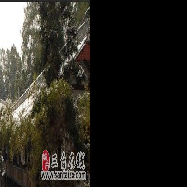 云台观 - 图片10
